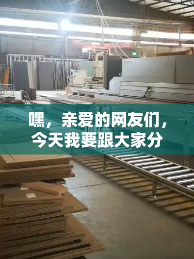嘿，亲爱的网友们，今天我要跟大家分享一个超实用的攻略——如何找到灌南家具的源头工厂。-第1张图片-赛丽网