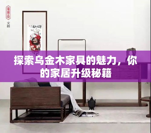 探索乌金木家具的魅力，你的家居升级秘籍-第1张图片-赛丽网