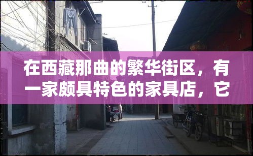 在西藏那曲的繁华街区，有一家颇具特色的家具店，它不仅售卖各式各样的家具，还为爱美人士提供了挑选全身镜的便利。这家店，仿佛是现代与藏地风情的完美融合，为顾客的居家生活增添了几分雅致与实用。-第1张图片-赛丽网