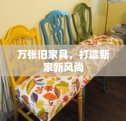 万张旧家具，打造新家新风尚-第1张图片-赛丽网