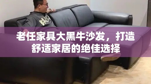 老任家具大黑牛沙发，打造舒适家居的绝佳选择-第2张图片-赛丽网