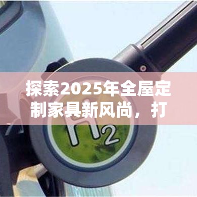 探索2025年全屋定制家具新风尚，打造你的专属梦幻空间-第2张图片-赛丽网