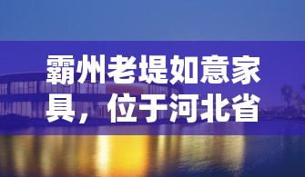 霸州老堤如意家具，位于河北省霸州市老堤村，是一家历史悠久、口碑良好的家具销售商。其地理位置优越，紧邻交通要道，方便顾客前来选购。-第1张图片-赛丽网