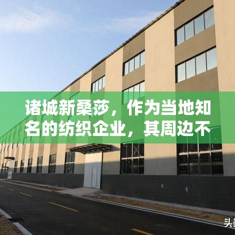 诸城新桑莎，作为当地知名的纺织企业，其周边不仅汇聚了众多纺织相关的产业，也悄然兴起了一个小型的家具市场。这里不仅为当地居民提供了丰富的家居选择，也成为了不少外来游客探寻当地生活气息的必经之地。-第1张图片-赛丽网