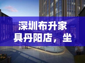 深圳布升家具丹阳店，坐落于江苏省丹阳市的繁华地段，是布升家具品牌在华东地区的重要一环。该店不仅承载着展示布升家具设计美学与实用性的功能，也成为了当地居民选购高品质家具的首选之地。-第1张图片-赛丽网