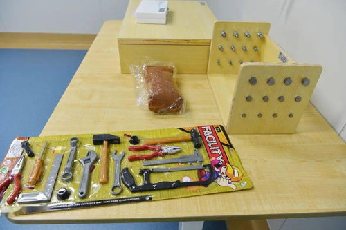 家具贴膜的秘密武器，揭秘工具包使用攻略-第2张图片-赛丽网
