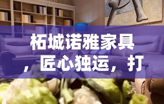 柘城诺雅家具，匠心独运，打造生活美学-第2张图片-赛丽网