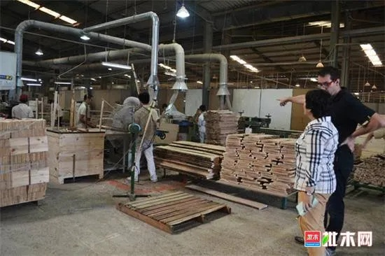 探索辽宁鞍山家具源头厂家的秘密，从选材到工艺的全面解析-第2张图片-赛丽网