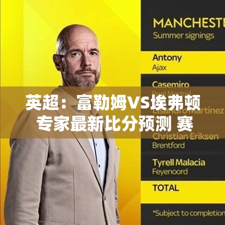 英超前瞻，富勒姆VS埃弗顿，专家解析赛事动态与比分预测-第1张图片-赛丽网