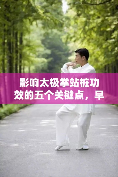 解锁太极拳站桩的五大关键点，助你早日受益！-第1张图片-赛丽网