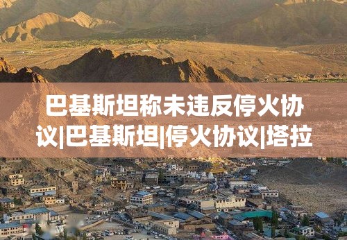 巴基斯坦否认违反停火协议，塔拉尔发声-第2张图片-赛丽网