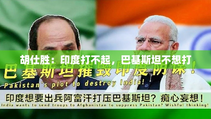 印度与巴基斯坦，冲突的边缘与和平的呼唤-第2张图片-赛丽网
