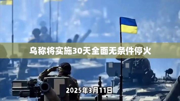 乌克兰宣布30天全面无条件停火-第1张图片-赛丽网