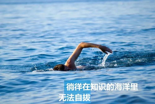 解锁游泳效率的秘密，实用技巧大揭秘-第1张图片-赛丽网