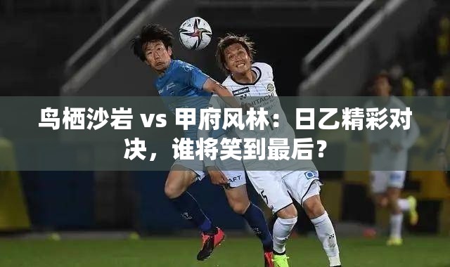 日乙焦点战，鸟栖沙岩对阵甲府风林，谁能成为最终赢家？-第1张图片-赛丽网