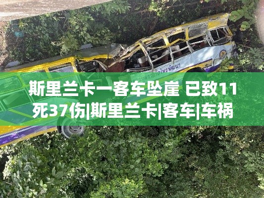 斯里兰卡客车坠崖事故致11死37伤-第1张图片-赛丽网