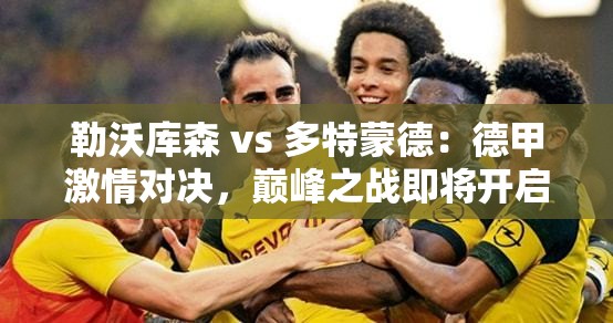 德甲巅峰对决，勒沃库森 vs 多特蒙德，激情之战一触即发！-第1张图片-赛丽网