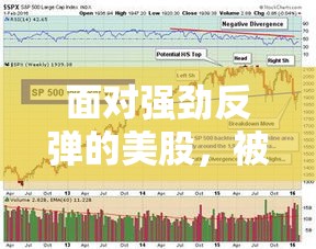 散户逼空，机构尴尬，美股强劲反弹下的市场博弈-第2张图片-赛丽网