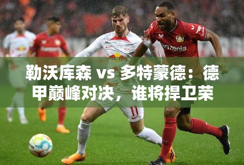 德甲巅峰对决，勒沃库森 vs 多特蒙德，谁将捍卫荣耀？-第1张图片-赛丽网