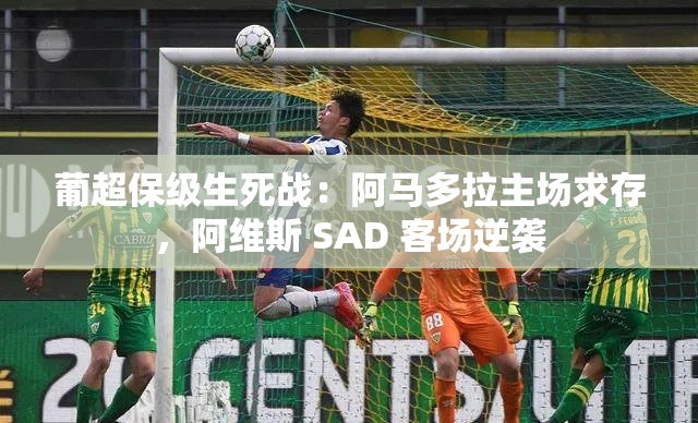 葡超保级关键战，阿马多拉主场求生，阿维斯 SAD 客场逆袭之战-第1张图片-赛丽网