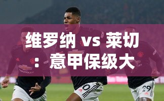 意甲保级大战，维罗纳与莱切的巅峰对决-第1张图片-赛丽网