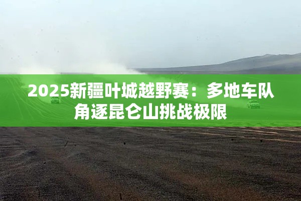 2025新疆叶城越野赛，昆仑山下的极限角逐-第2张图片-赛丽网