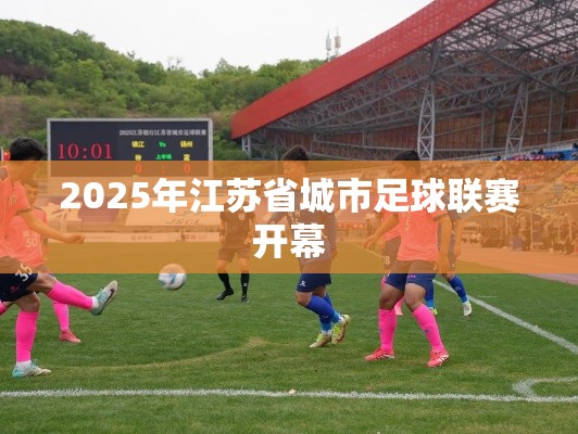 2025年江苏省城市足球联赛盛大开幕-第2张图片-赛丽网