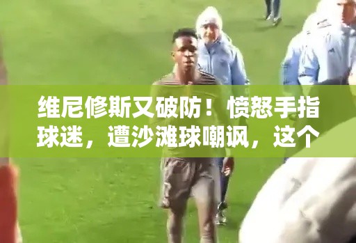 维尼修斯球场破防，怒指球迷遭沙滩球梗持续发酵-第1张图片-赛丽网