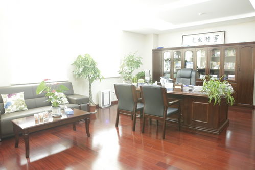 探索绩溪县家具店，你的家居灵感宝库-第2张图片-赛丽网