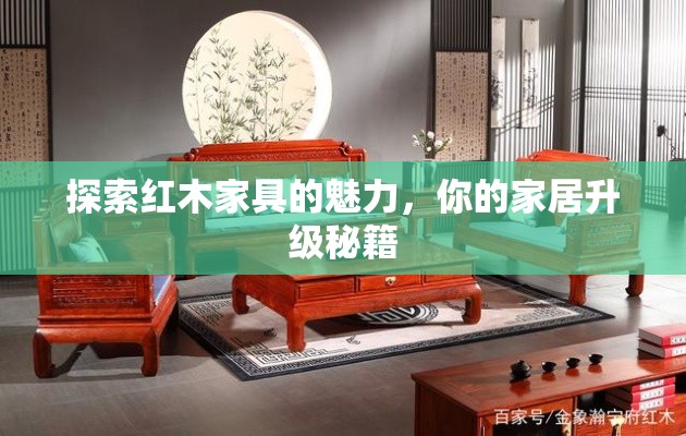 探索红木家具的魅力，你的家居升级秘籍-第1张图片-赛丽网