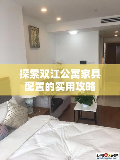 探索双江公寓家具配置的实用攻略-第1张图片-赛丽网