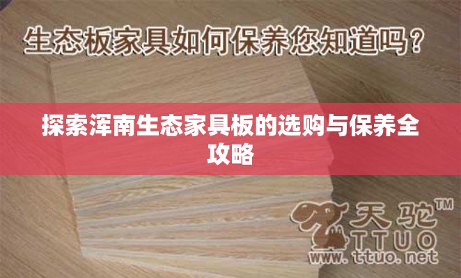 探索浑南生态家具板的选购与保养全攻略-第1张图片-赛丽网