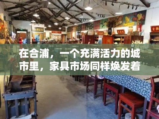 在合浦，一个充满活力的城市里，家具市场同样焕发着独特的魅力。这里不仅有传统手工艺的传承，还融入了现代设计的元素，吸引了众多网红家具的入驻。-第1张图片-赛丽网