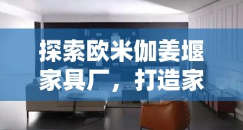 探索欧米伽姜堰家具厂，打造家居新风尚的实用攻略-第1张图片-赛丽网