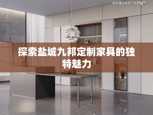 探索盐城九邦定制家具的独特魅力-第2张图片-赛丽网
