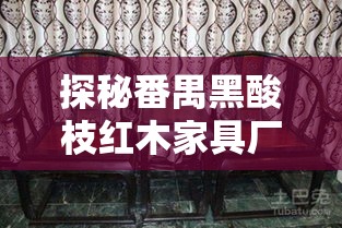 探秘番禺黑酸枝红木家具厂，从选材到工艺的全方位攻略-第1张图片-赛丽网