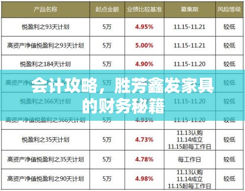 会计攻略，胜芳鑫发家具的财务秘籍-第1张图片-赛丽网