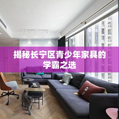 揭秘长宁区青少年家具的学霸之选-第1张图片-赛丽网