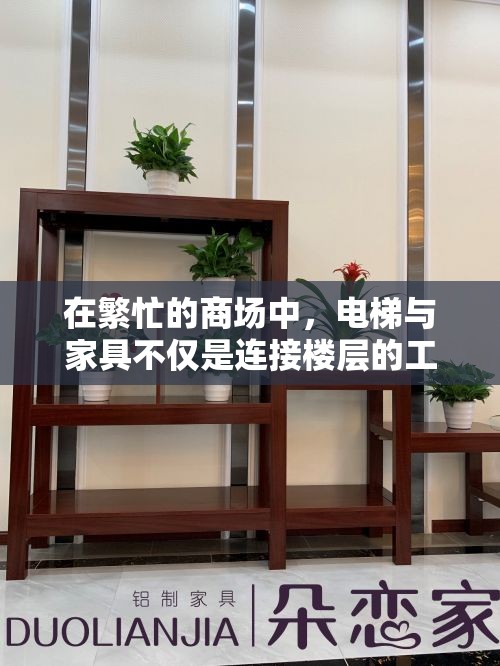 在繁忙的商场中，电梯与家具不仅是连接楼层的工具，也是顾客体验的重要一环。它们的设计与布局，不仅关乎实用性与安全性，还深刻影响着顾客的购物心情与商场的整体形象。-第2张图片-赛丽网