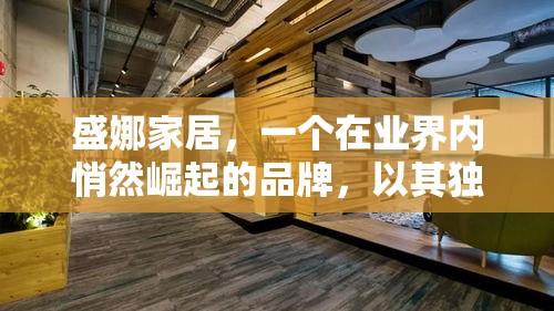 盛娜家居，一个在业界内悄然崛起的品牌，以其独特的设计理念和卓越的工艺品质，在众多家具品牌中脱颖而出。它不仅仅是一个家具制造商，更是一个致力于为现代家庭带来温馨与舒适的伙伴。-第2张图片-赛丽网