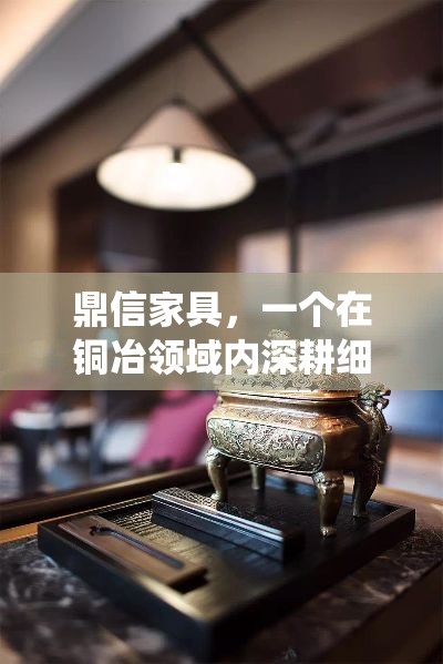 鼎信家具，一个在铜冶领域内深耕细作的品牌，其历史可追溯至铜器冶炼的古老技艺与现代家具设计的巧妙融合。自创立以来，鼎信家具不仅继承了传统工艺的精髓，更是在材料选择、设计创新与文化传承上展现了非凡的匠心。-第1张图片-赛丽网