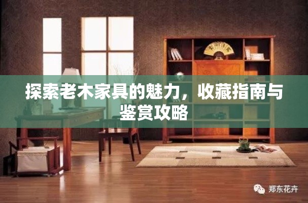 探索老木家具的魅力，收藏指南与鉴赏攻略-第1张图片-赛丽网