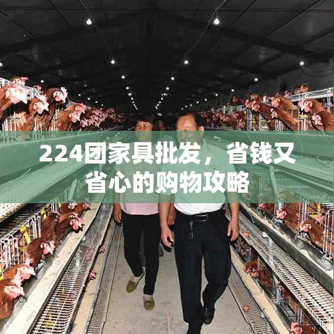 224团家具批发，省钱又省心的购物攻略-第1张图片-赛丽网