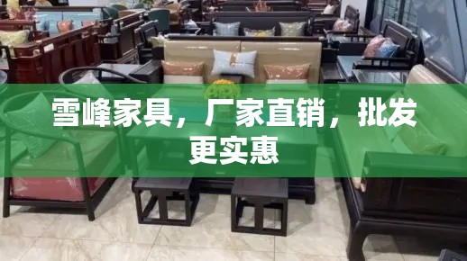 雪峰家具，厂家直销，批发更实惠-第2张图片-赛丽网