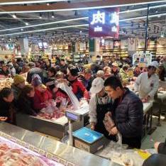 探索大象耳朵家具的全国发货攻略，从选品到收货的全方位指南-第1张图片-赛丽网