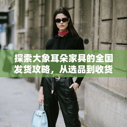 探索大象耳朵家具的全国发货攻略，从选品到收货的全方位指南-第2张图片-赛丽网