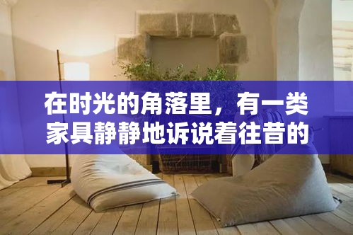 在时光的角落里，有一类家具静静地诉说着往昔的故事——这就是一线民俗怀旧家具。它们不仅是家居的装饰，更是文化的传承与记忆的载体，每一件都蕴含着匠人的心血与岁月的痕迹。-第1张图片-赛丽网