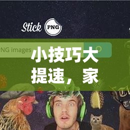 小技巧大提速，家具抠图不再头疼-第1张图片-赛丽网