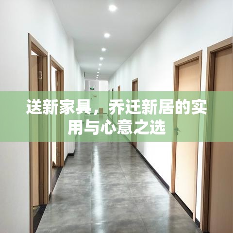 送新家具，乔迁新居的实用与心意之选-第2张图片-赛丽网