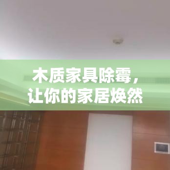 木质家具除霉，让你的家居焕然一新-第2张图片-赛丽网